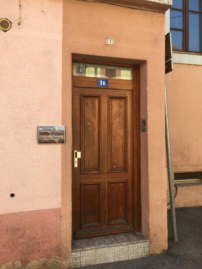 Le Gite 6 - Le Chateau Du Haut-Koenigsbourg Sélestat Zewnętrze zdjęcie